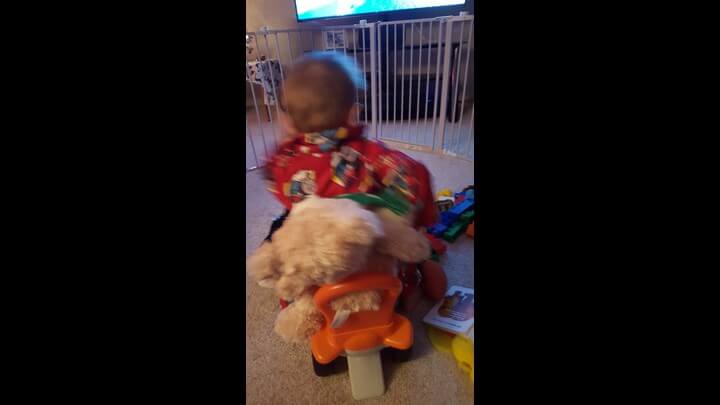 Giving Teddy Bear A Ride