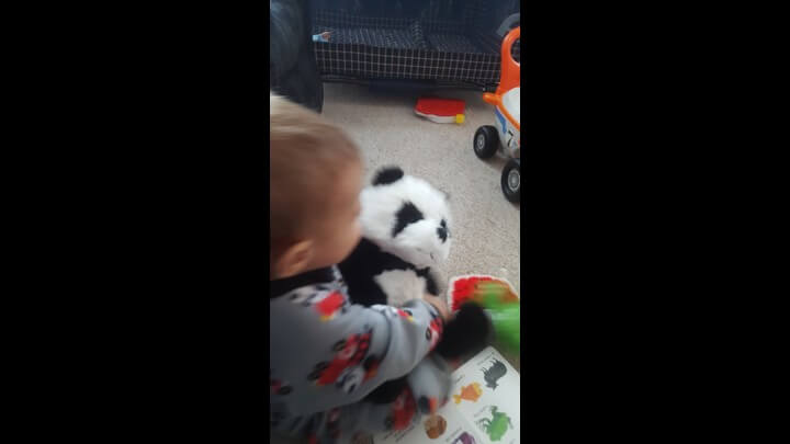 Love My Panda Bear