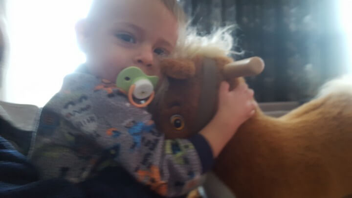 Love My Horsey