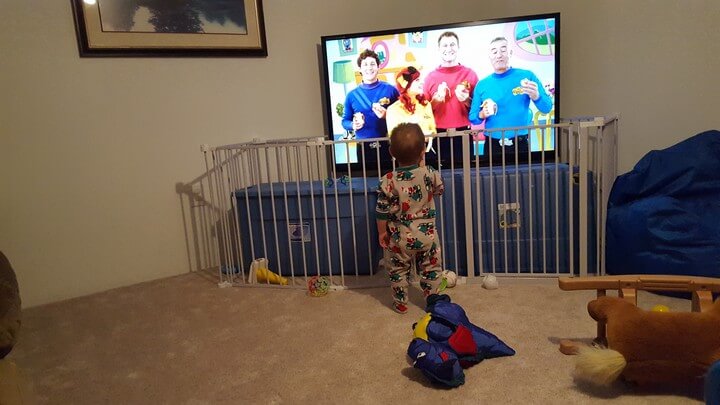 Watching The Wiggles