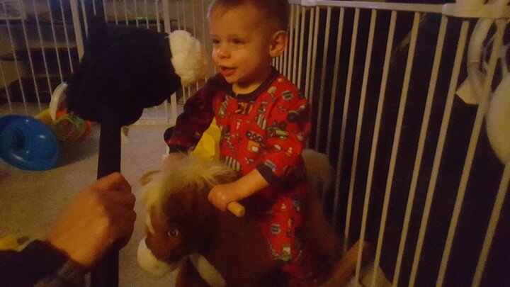 Two Horseys