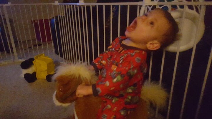 Whoa Horsey
