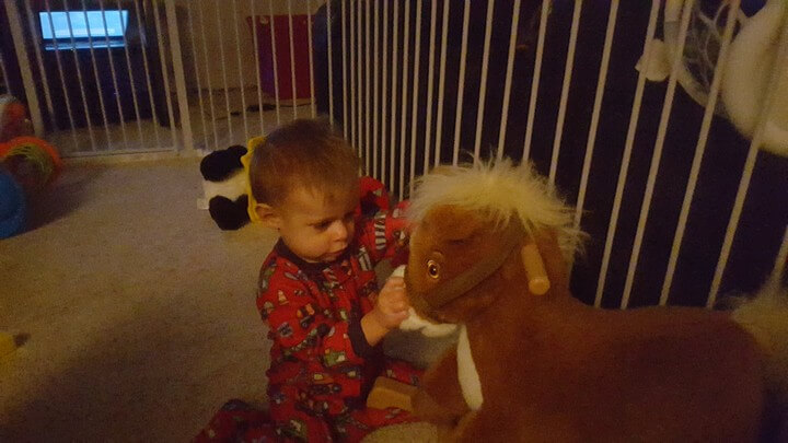 Good Horsey