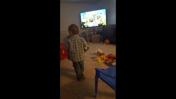 Michael's 1 Year 6 Months Photo Gallery