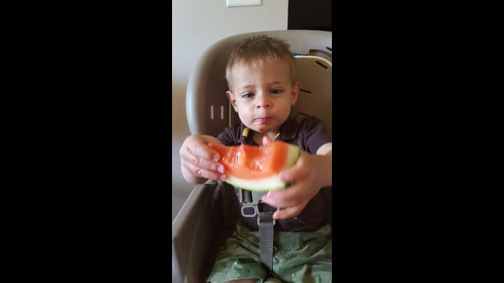 Watermelon Anyone