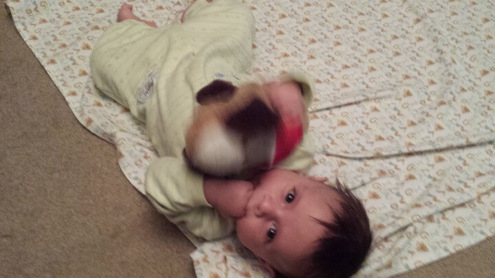You Want My Doggy
