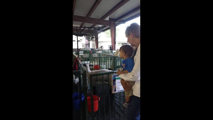 Trip To Scottsbluff Fair