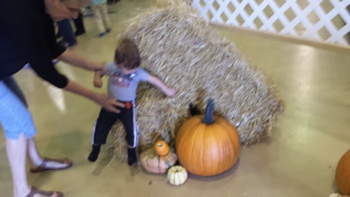 Touching Pampkin - Fiber Fair